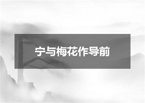 宁与梅花作导前