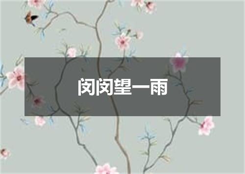 闵闵望一雨