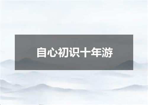 自心初识十年游