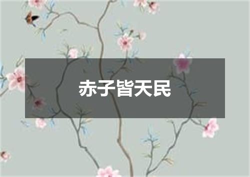 赤子皆天民
