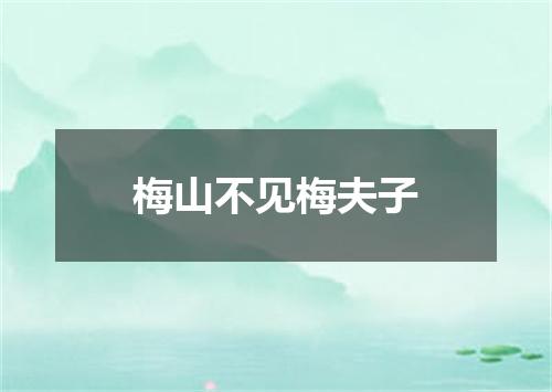 梅山不见梅夫子