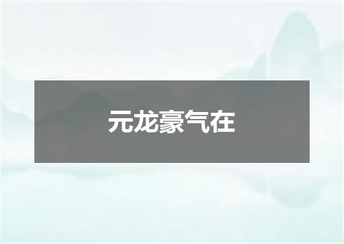 元龙豪气在