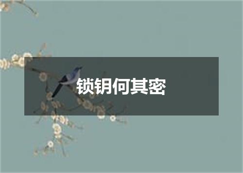 锁钥何其密