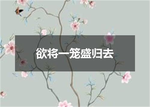 欲将一笼盛归去