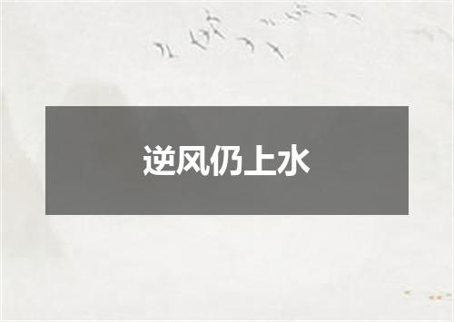 逆风仍上水