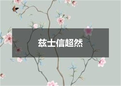 兹士信超然