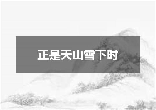 正是天山雪下时