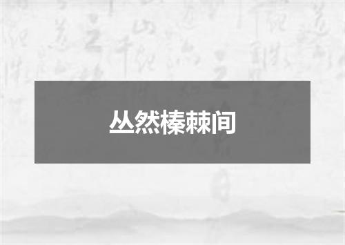 丛然榛棘间
