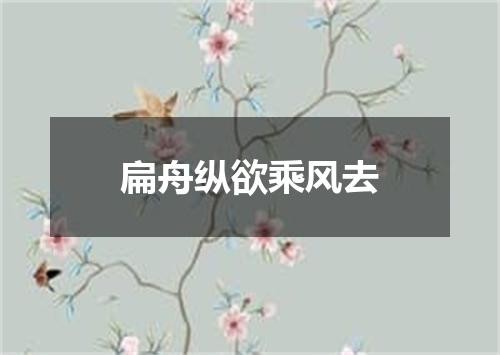 扁舟纵欲乘风去
