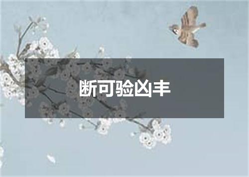 断可验凶丰