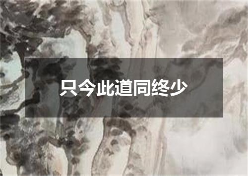只今此道同终少