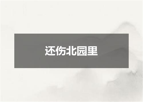 还伤北园里