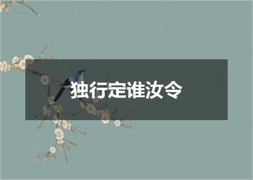 独行定谁汝令