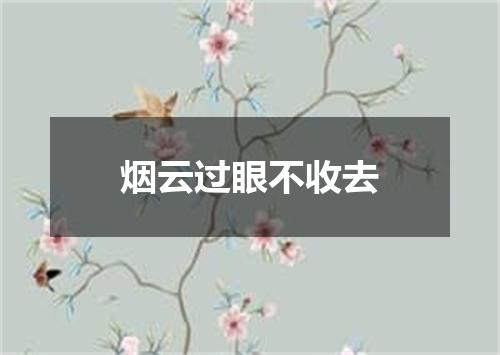 烟云过眼不收去