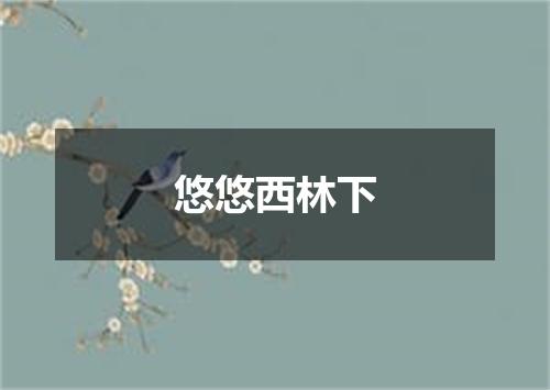悠悠西林下