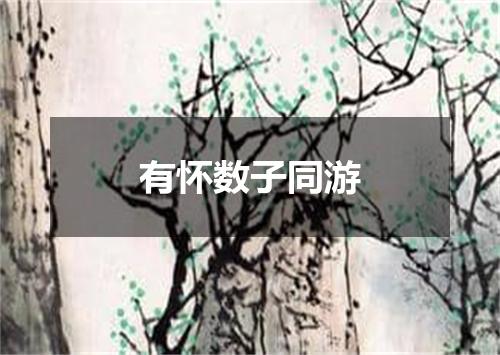 有怀数子同游