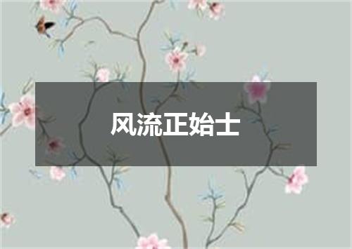 风流正始士