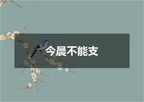 今晨不能支
