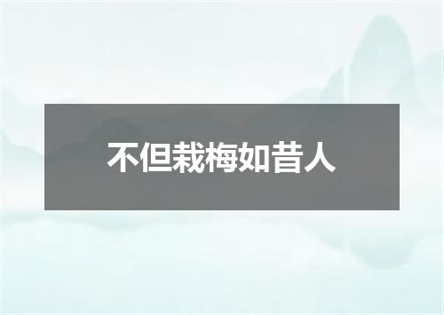 不但栽梅如昔人