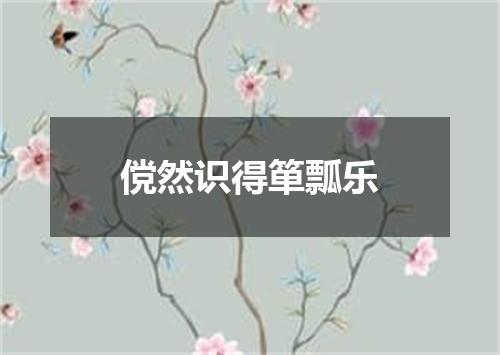 傥然识得箪瓢乐