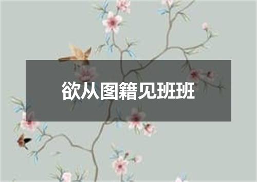 欲从图籍见班班
