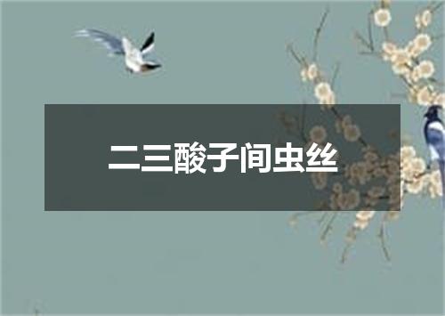 二三酸子间虫丝