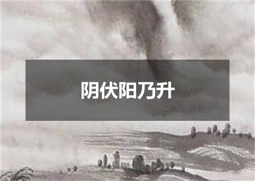 阴伏阳乃升