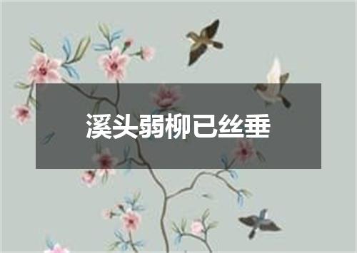 溪头弱柳已丝垂