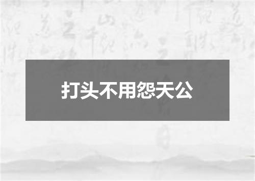 打头不用怨天公
