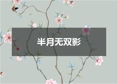 半月无双影