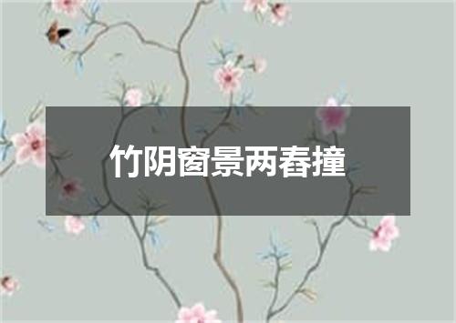 竹阴窗景两舂撞