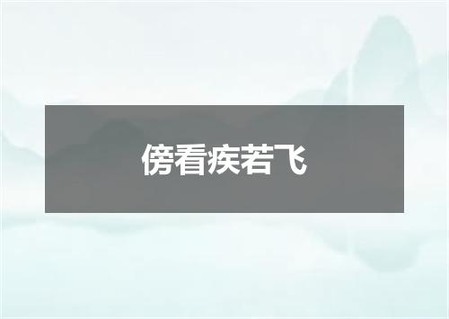 傍看疾若飞