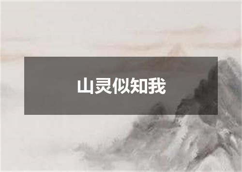 山灵似知我