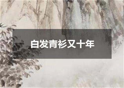 白发青衫又十年