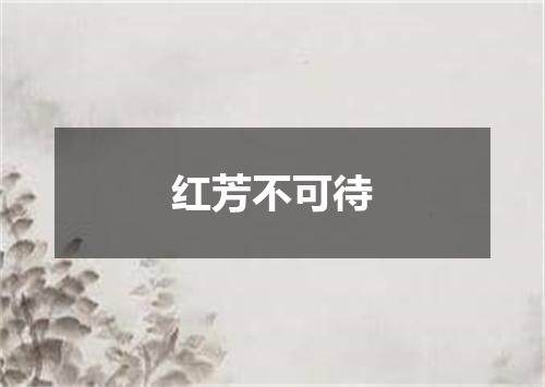 红芳不可待