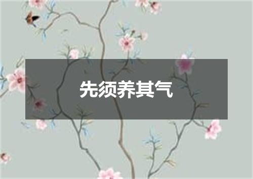 先须养其气