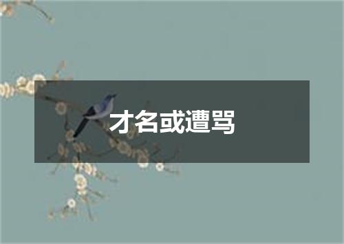 才名或遭骂