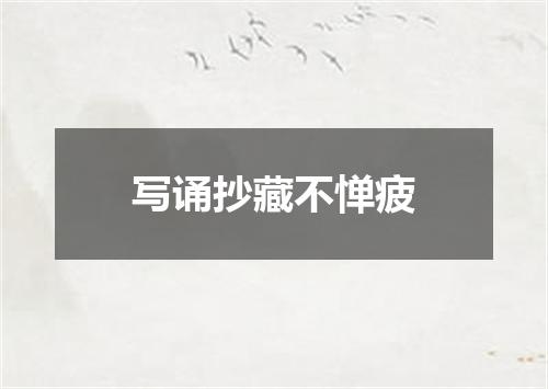 写诵抄藏不惮疲