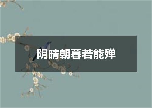 阴晴朝暮若能殚