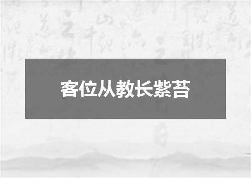 客位从教长紫苔