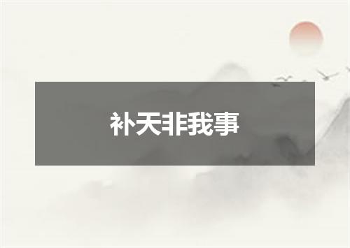 补天非我事
