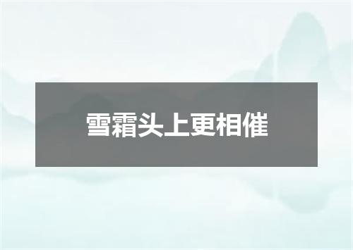 雪霜头上更相催