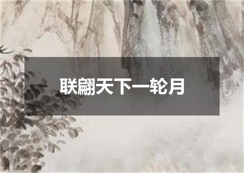 联翩天下一轮月