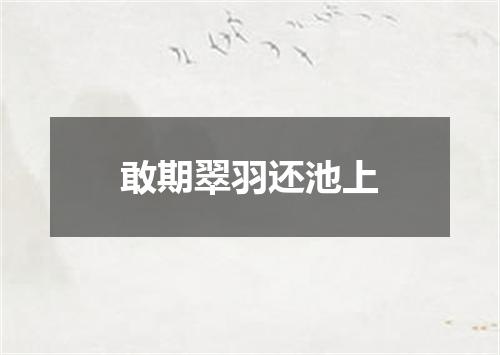 敢期翠羽还池上