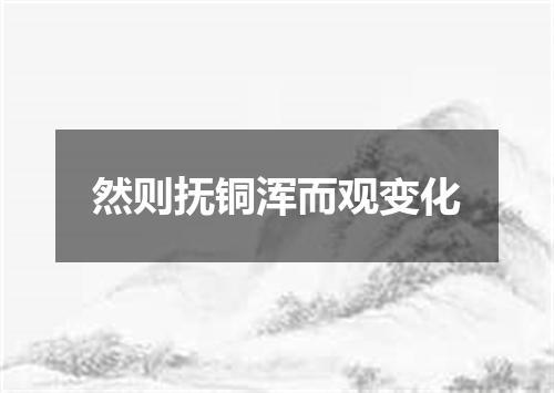 然则抚铜浑而观变化