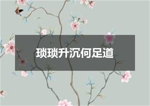 琐琐升沉何足道