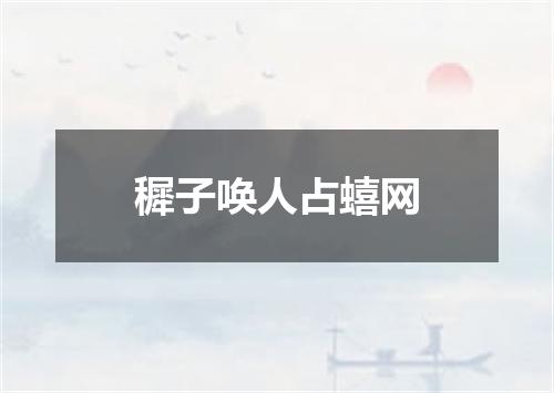穉子唤人占蟢网