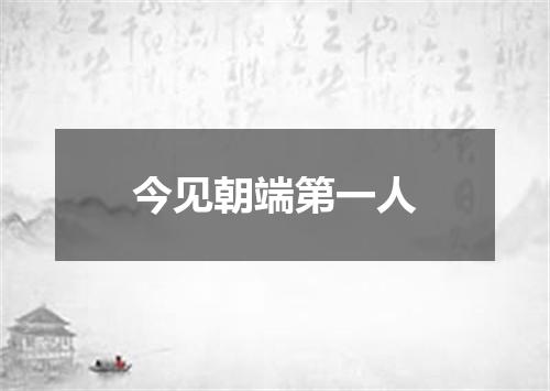 今见朝端第一人