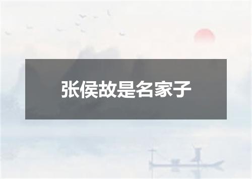 张侯故是名家子