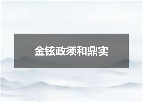 金铉政须和鼎实